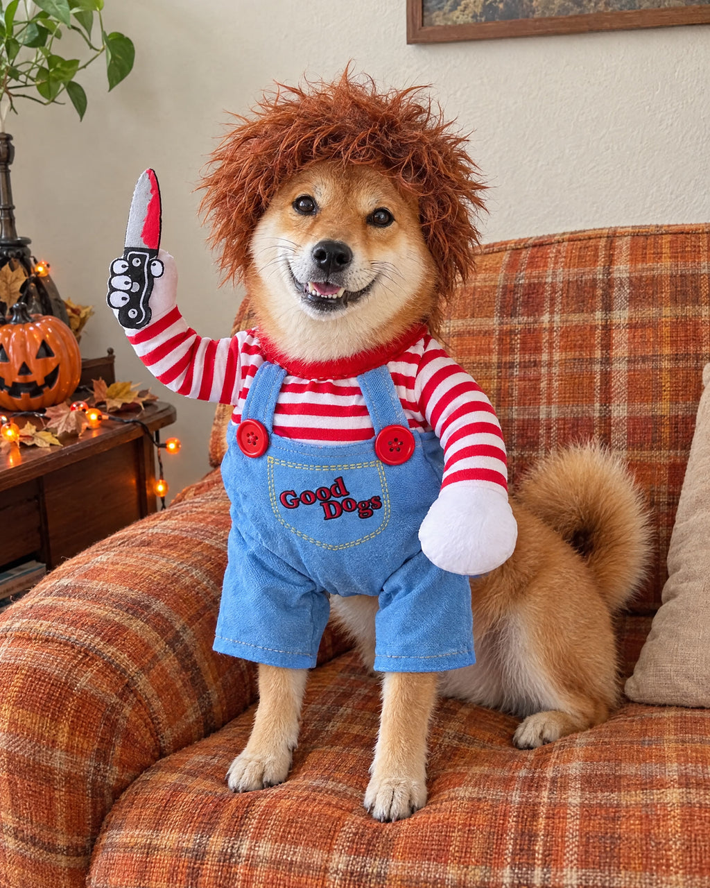 Tiny Terror — Halloween Dog Costume