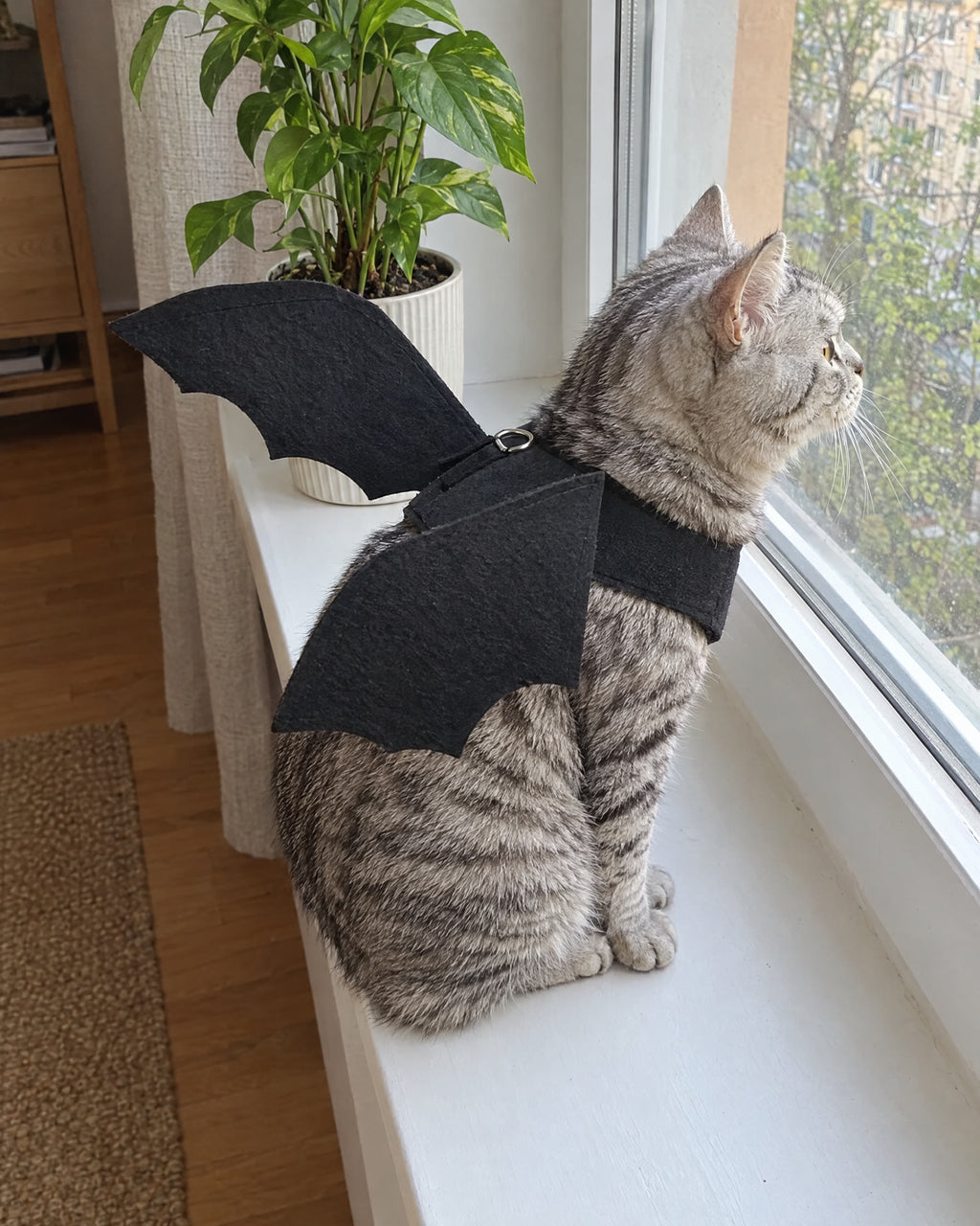 Bat After Dark — Halloween Pet Wings