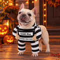 The Treat Bandit — Prisoner Dog Costume